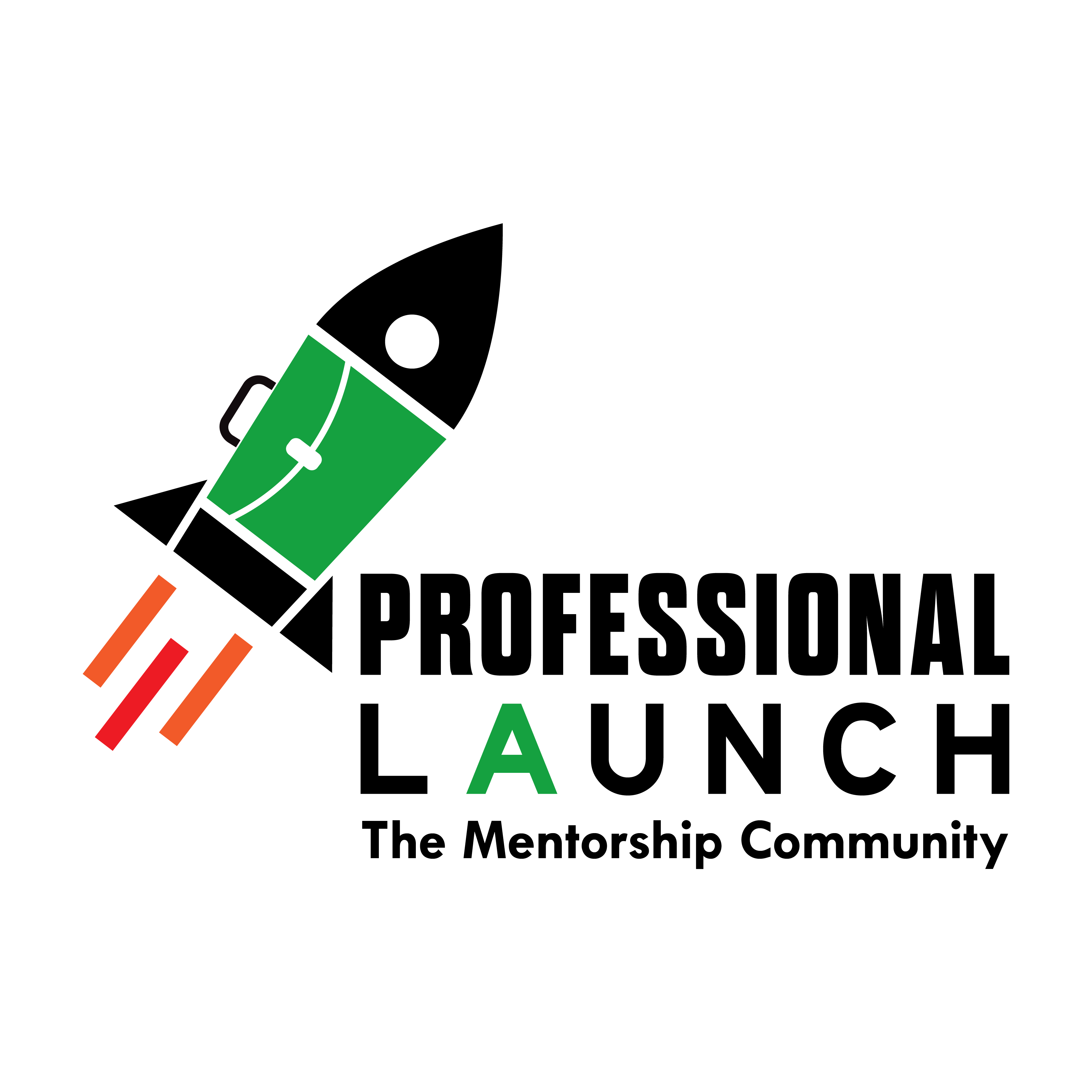 Prolaunch Program Professional Launch
